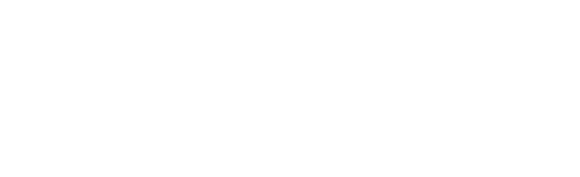 Babolat